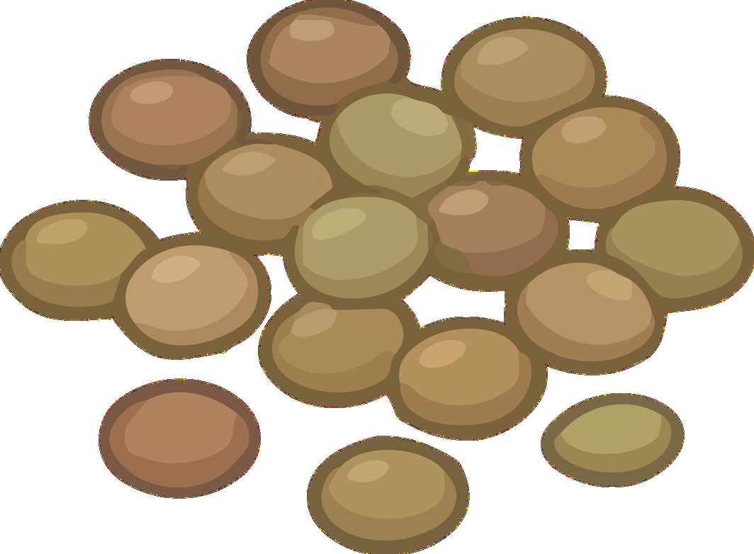 Lentils