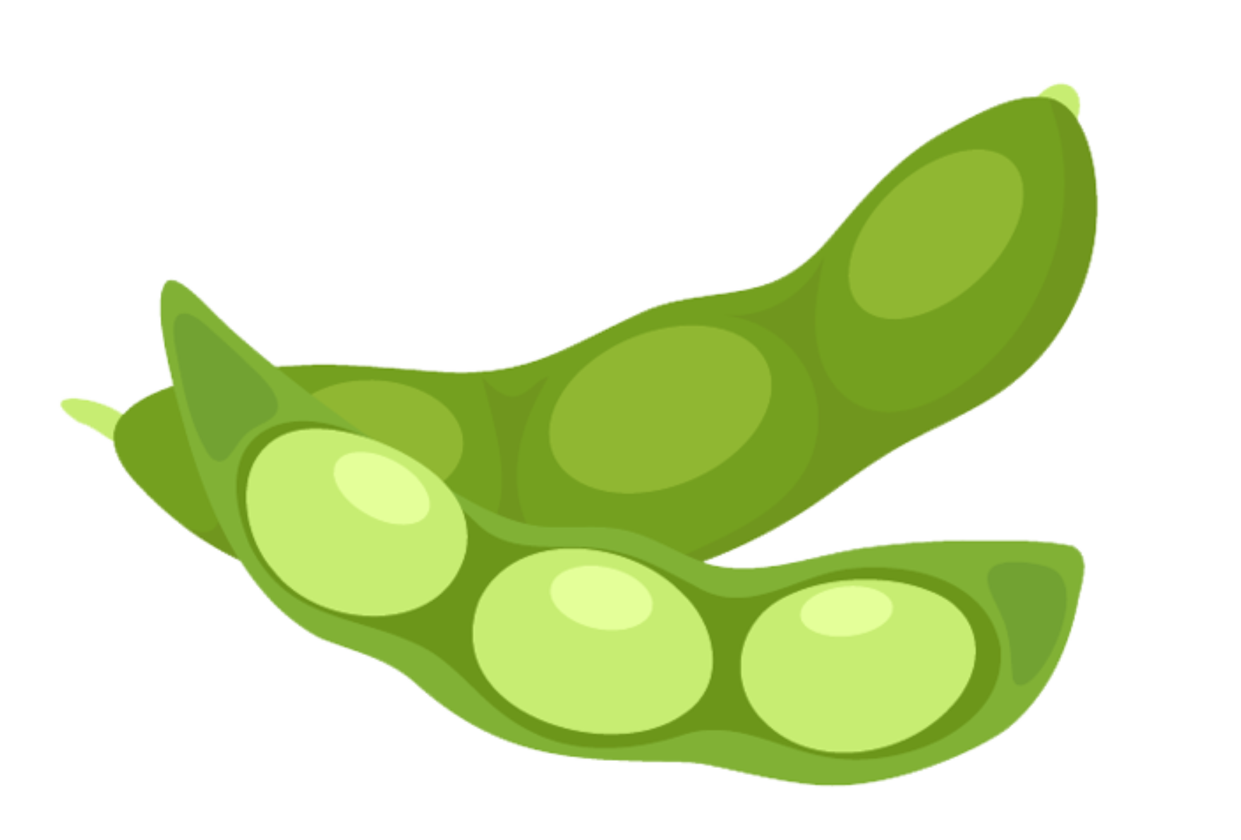 Edamame